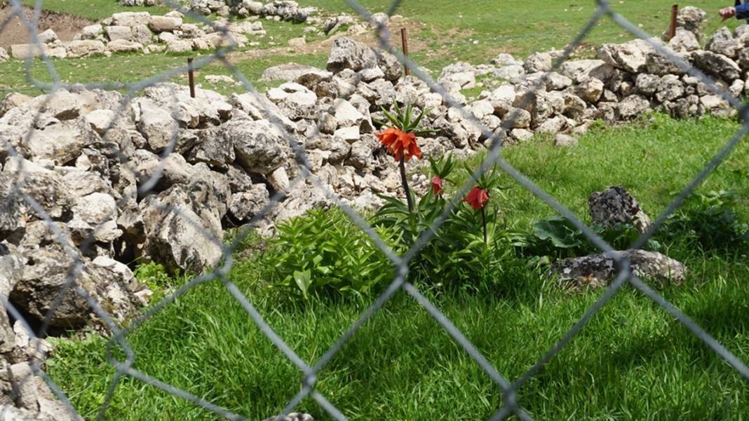 Bu insanlar neye bakıyor? Gece-gündüz nöbet tutuyorlar, ilk kez görenler şaştı kaldı! 22